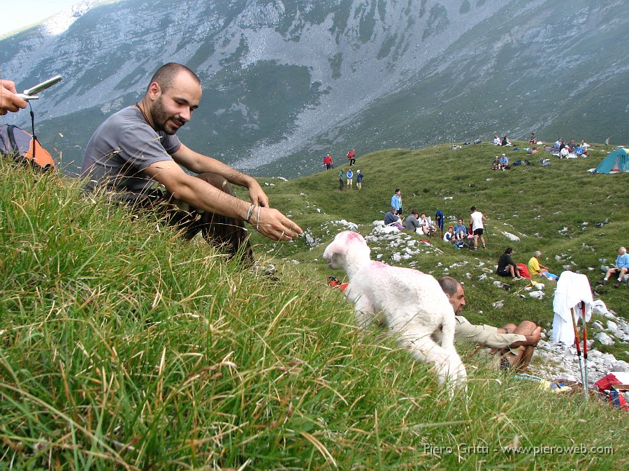 Menna3ag08 063.jpg - L'agnellino tra poco viene riconosciuto dal figlio del suo pastore e riportato nel gregge in valle